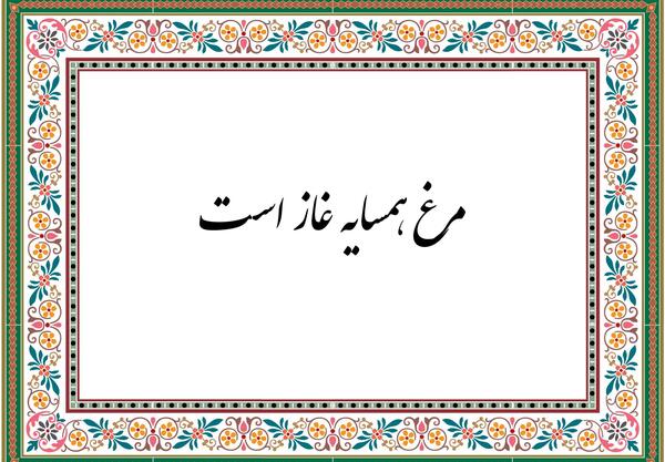 عکس تصویر ضرب المثل مرغ همسایه غازه