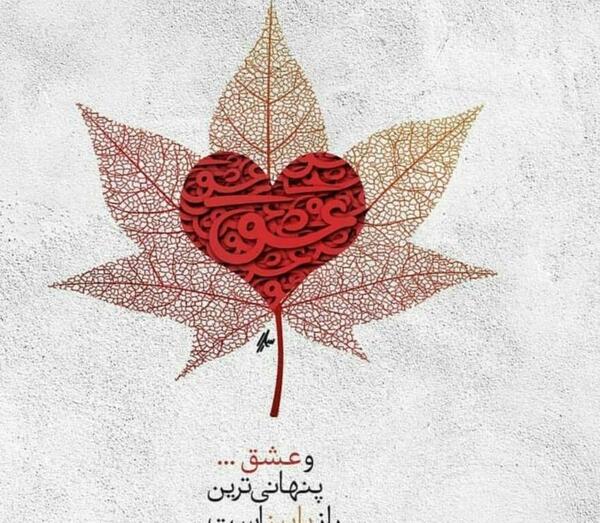 عکس تولد شیما نزدیکه