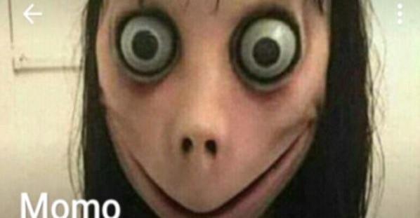 عکس مومو مرغ