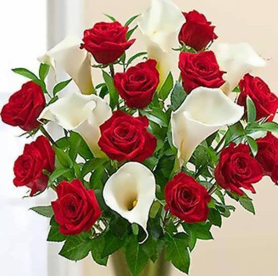 عکس چند دسته گل زیبا