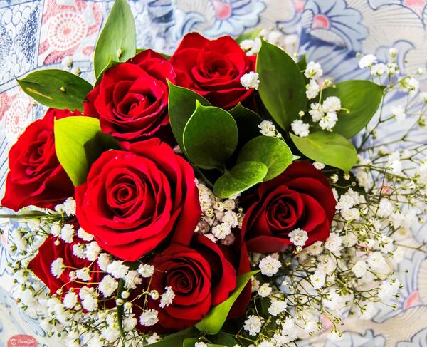 عکس چند دسته گل زیبا