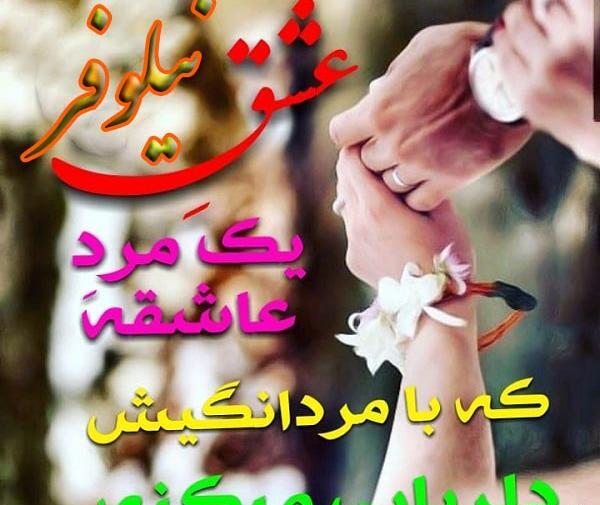 عکس نوشته رضا و نیلوفر