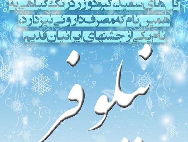 عکس نوشته رضا و نیلوفر
