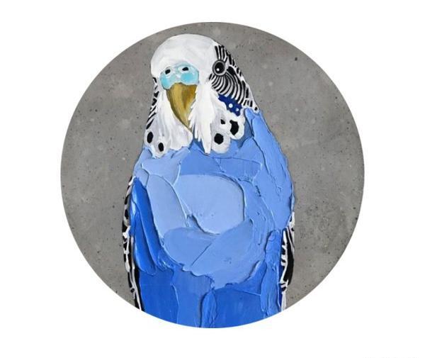 عکس طوطی تزئینی