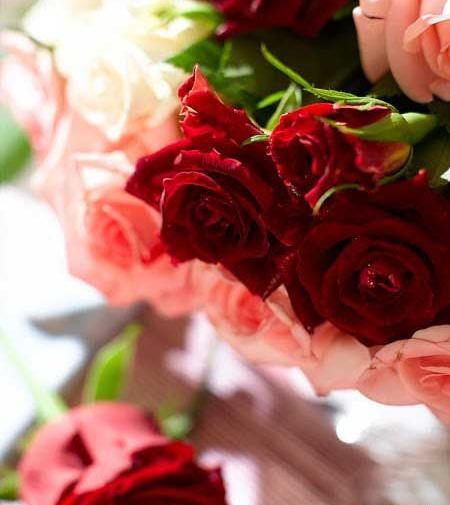 عکس گل ریحانه