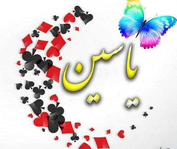 عکس نوشته یاسین و فاطمه