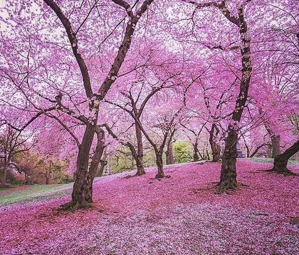 عکس از طبیعت دانلود