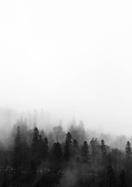 عکس زیبا از منظره مه آلود