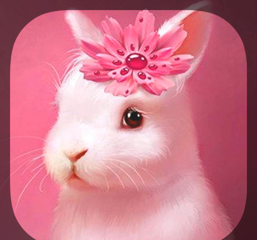 عکس خرگوش صورتی واقعی