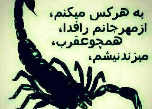 عکس نوشته لاتی رفیق