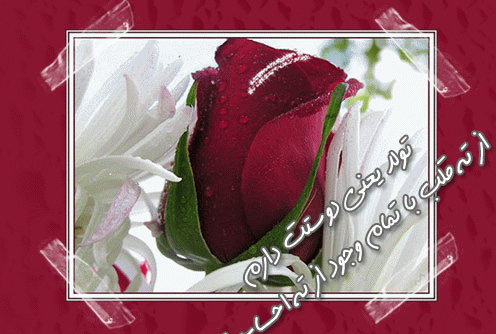 عکس صدیقه جان دوستت دارم