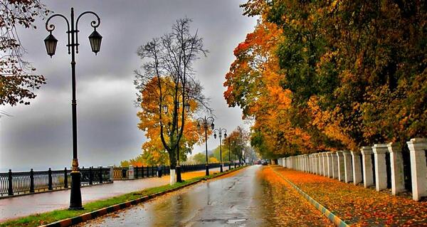 عکس زیبا از طبیعت بارانی