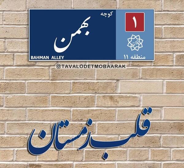 عکس تولد دخترانه بهمن ماهی