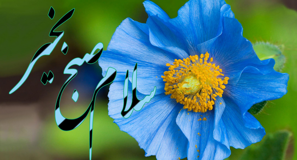 عکس صبح بخیر ساده