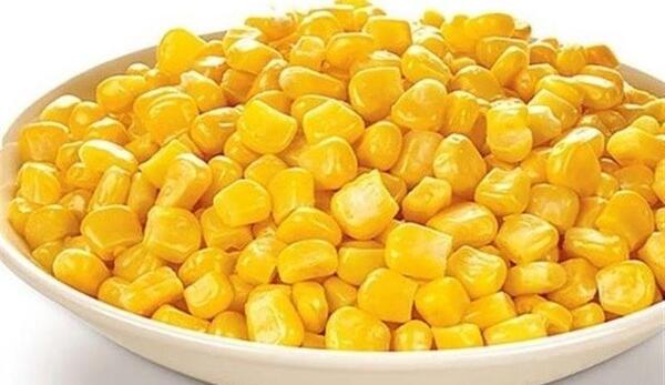 عکس ذرت تراریخته