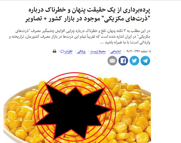 عکس ذرت تراریخته