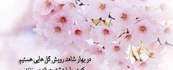 عکس بهار عید