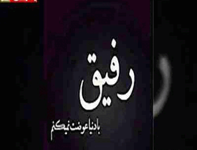 عکس رفیق جون جونی
