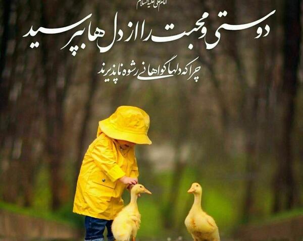 عکس نوشته گر بر سر نفس خود امیری مردی