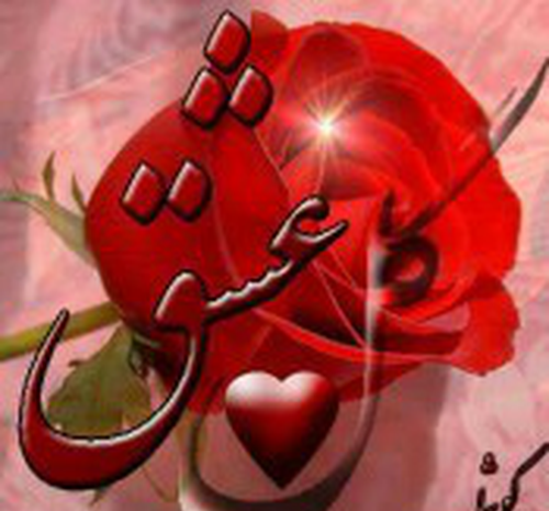 عکس گل عشق