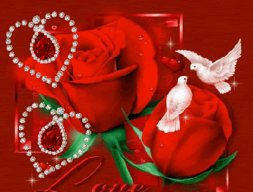 عکس گل عشق
