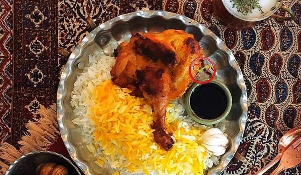 عکس غذا اکبر جوجه