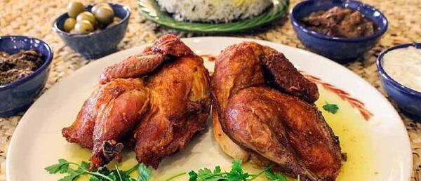 عکس غذا اکبر جوجه