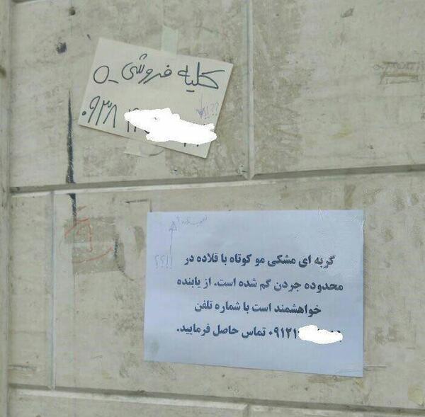 عکس ثروتمند و فقیر