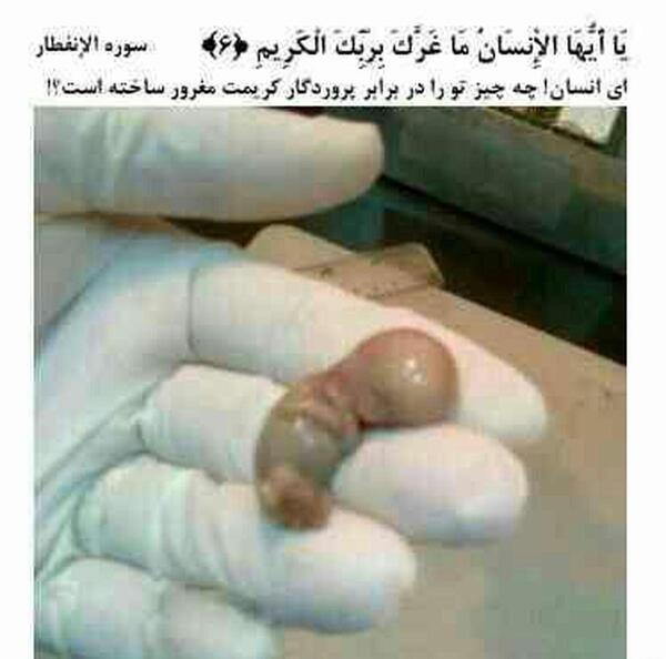 لایک عکس اسم خدا