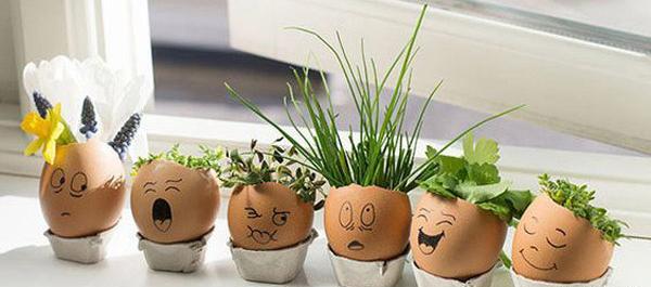 عکس ایده ظرف سبزه