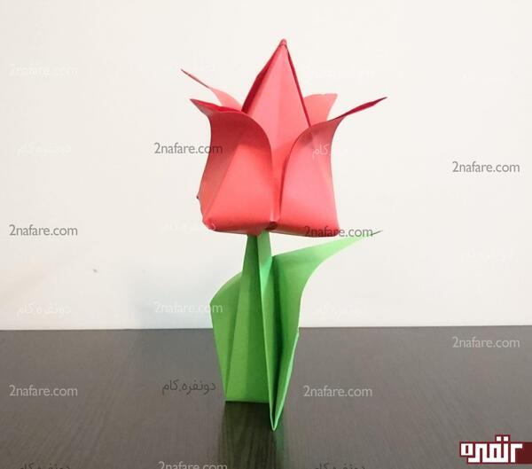 عکس گل لاله کاغذی