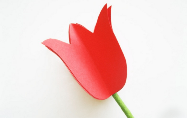 عکس گل لاله کاغذی