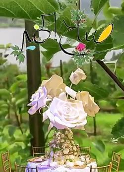 صباح الخیر عکس صبح بخیر عربی