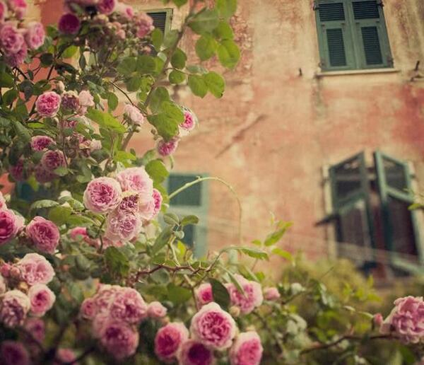 عکس نوشته گل گلی