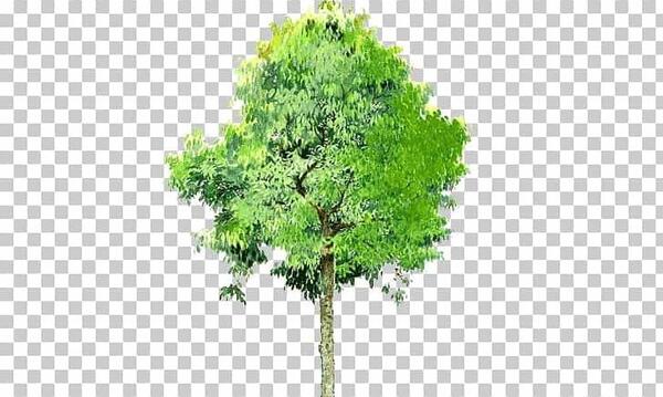 ذخیره عکس تصویر زمینه