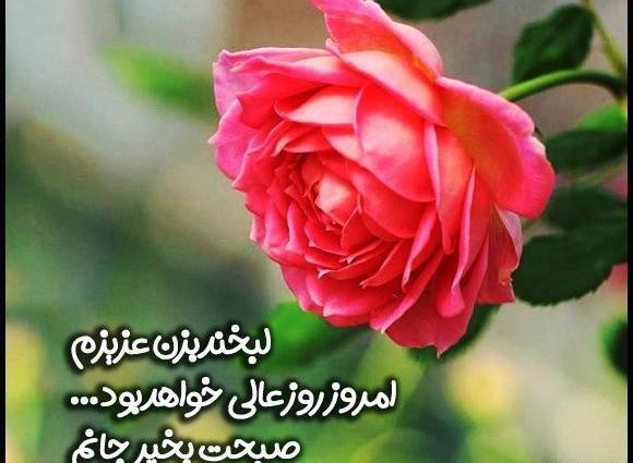 عکس صبح بخیر دوست خوبم