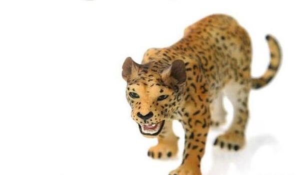 عکس عروسک یوز پلنگ