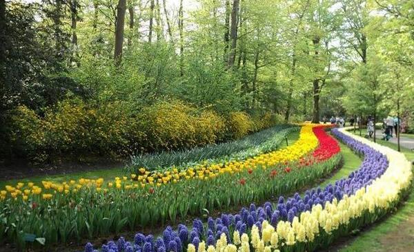 عکسهای طبیعت زیبای هلند