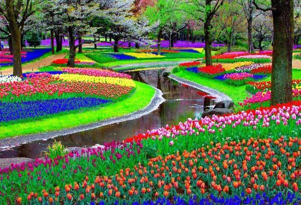 عکسهای طبیعت زیبای هلند