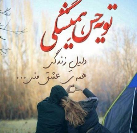 عکس دونفره های خاص