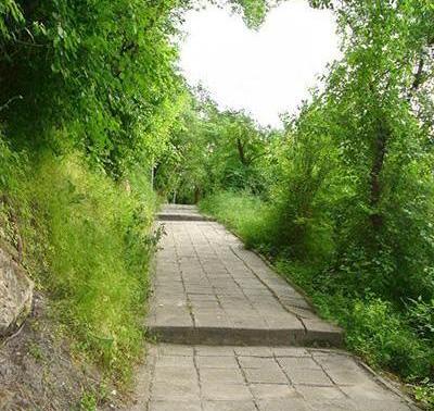 عکس از طبیعت طبیعی