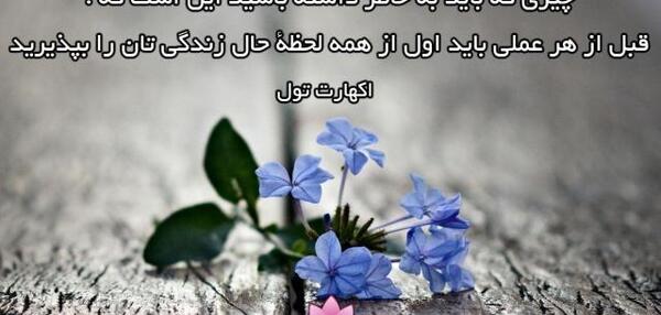 عکس نوشته های دکتر شاهین فرهنگ