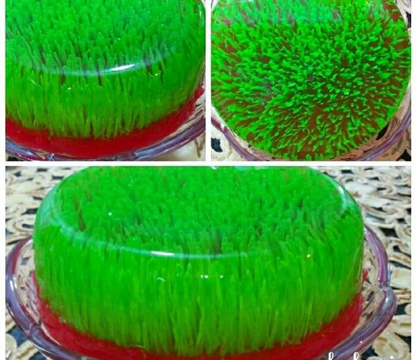 عکس ژله تزریقی سبزه عید