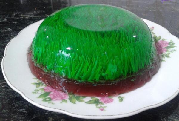 عکس ژله تزریقی سبزه عید