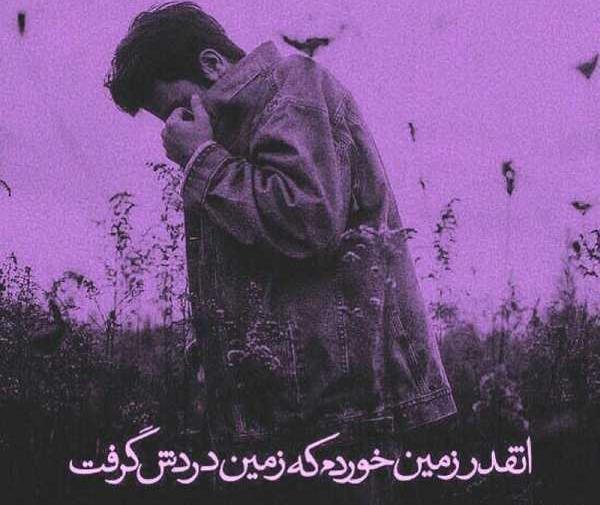 عکس پروفایل دخترونه شاخ بنفش زعفران