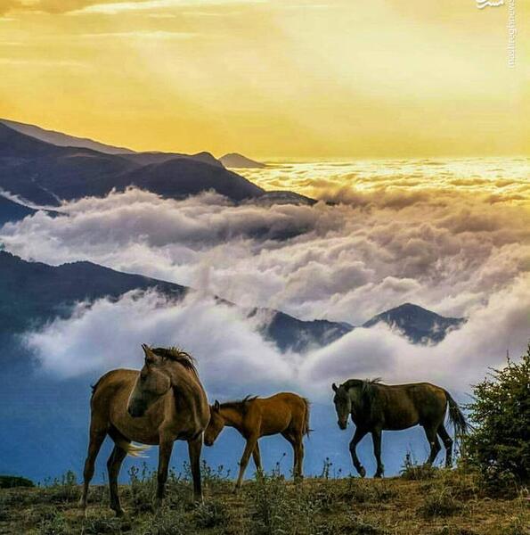 عکس منظره مازندران