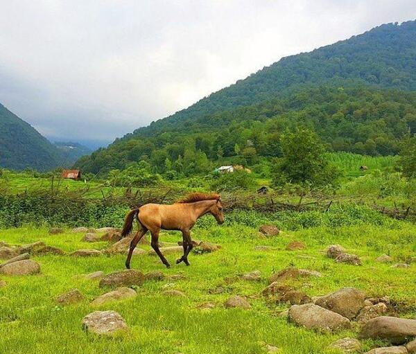 عکس منظره مازندران