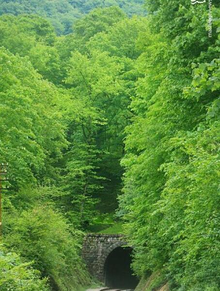 عکس منظره مازندران