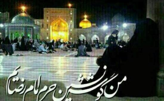 عکس نوشته خادمی امام رضا