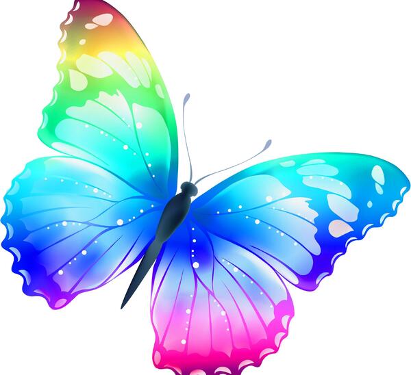 عکس پروانه در فال قهوه